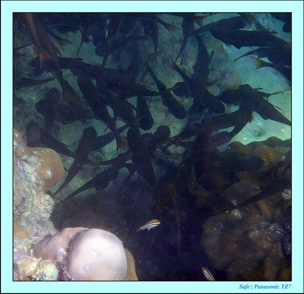 2012 - 03 - Koh Kradan 03